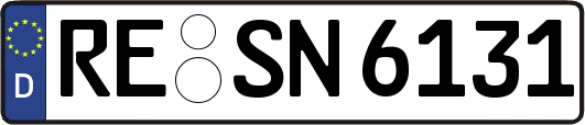 RE-SN6131