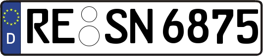 RE-SN6875