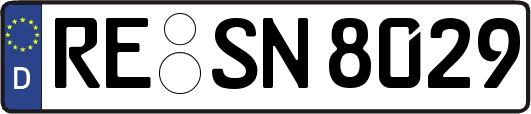 RE-SN8029