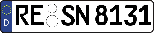 RE-SN8131