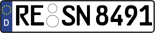 RE-SN8491