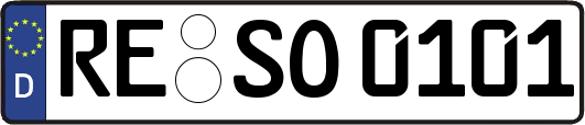 RE-SO0101