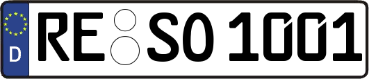 RE-SO1001