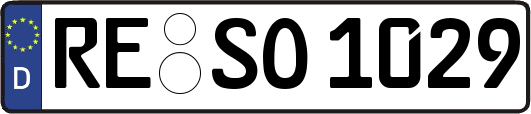 RE-SO1029