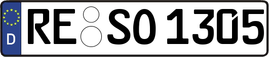 RE-SO1305