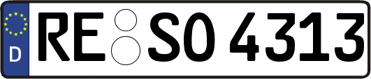 RE-SO4313