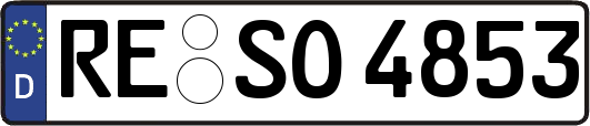 RE-SO4853