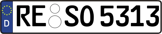 RE-SO5313