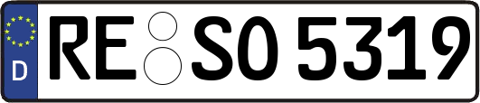 RE-SO5319