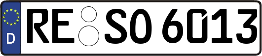 RE-SO6013