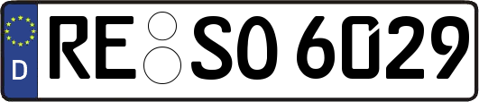 RE-SO6029