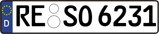 RE-SO6231