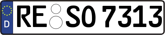 RE-SO7313
