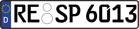 RE-SP6013