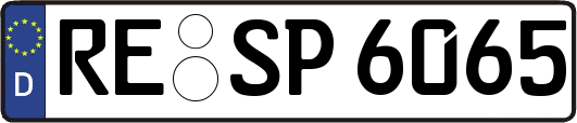 RE-SP6065