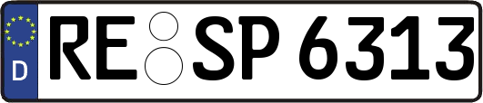 RE-SP6313