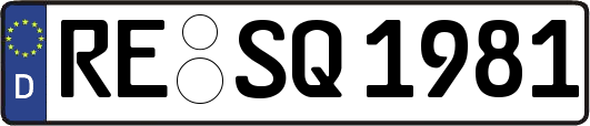 RE-SQ1981