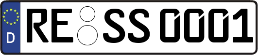 RE-SS0001