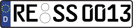 RE-SS0013