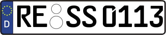 RE-SS0113