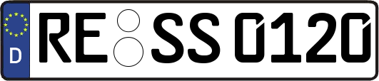 RE-SS0120