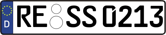 RE-SS0213
