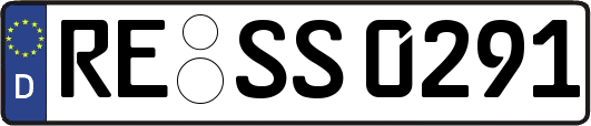 RE-SS0291