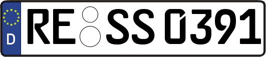 RE-SS0391