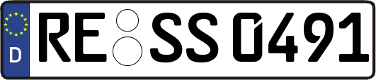 RE-SS0491