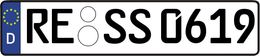 RE-SS0619