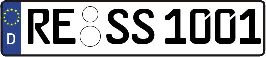 RE-SS1001