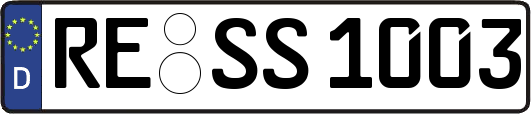 RE-SS1003