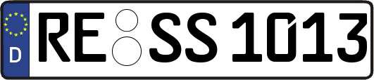 RE-SS1013