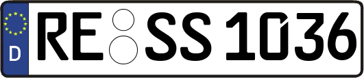 RE-SS1036