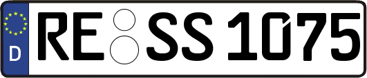 RE-SS1075