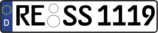 RE-SS1119