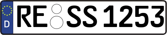 RE-SS1253