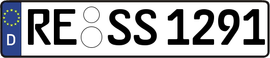 RE-SS1291