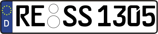 RE-SS1305