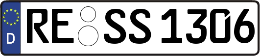 RE-SS1306