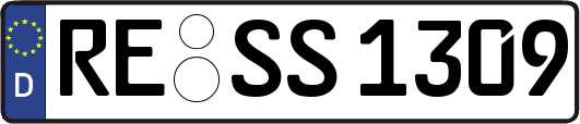RE-SS1309