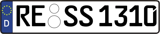 RE-SS1310