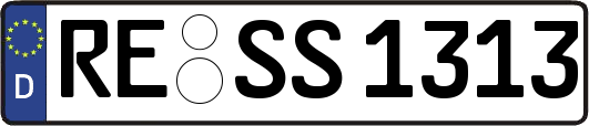 RE-SS1313