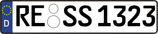 RE-SS1323