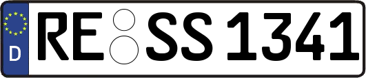 RE-SS1341