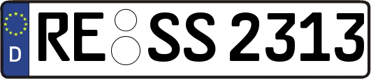RE-SS2313