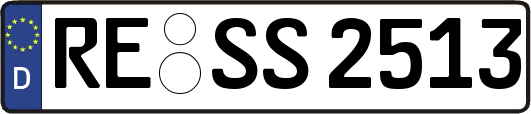 RE-SS2513
