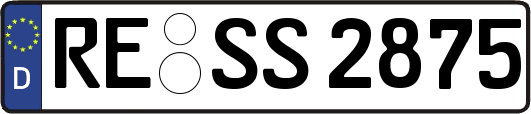 RE-SS2875