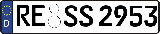 RE-SS2953