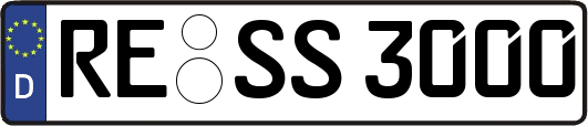 RE-SS3000